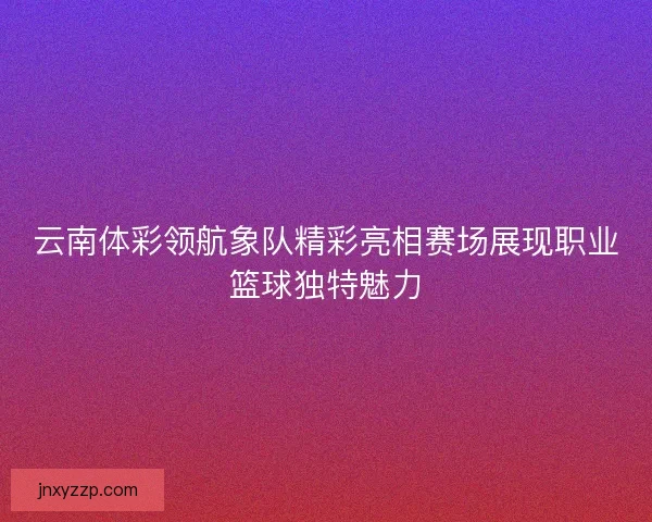云南体彩领航象队精彩亮相赛场展现职业篮球独特魅力
